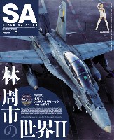 スケール アヴィエーション 2019年1月号 Vol.125 特別付録 林周市 ウェザリングテクニック How to DVD