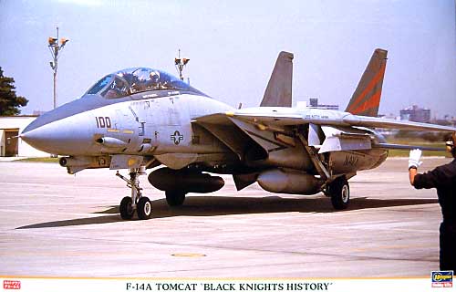 F-14A トムキャット ブラックナイツ ヒストリー プラモデル (ハセガワ 1/48 飛行機 限定生産 No.09516) 商品画像