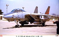 ハセガワ 1/48 飛行機 限定生産 F-14A トムキャット ブラックナイツ ヒストリー