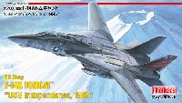 アメリカ海軍 F-14A トムキャット USS インディペンデンス 1995