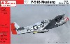 P-51B マスタング ドーサルフィン USAF