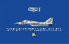 MiG-29 9-13 フルクラム C 朝鮮人民空軍