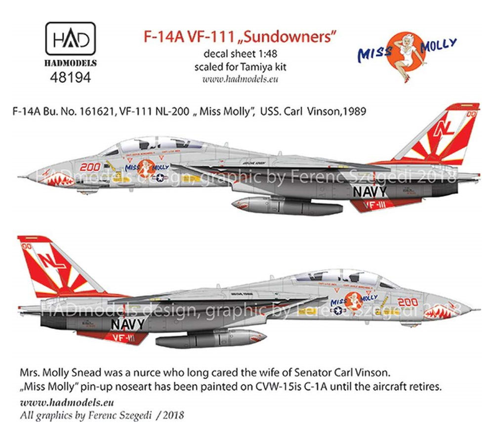 F-14A トムキャット VF-1 空母 エンタープライズ 搭載機 - 航空機