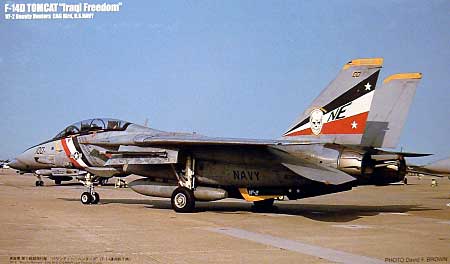 F-14D トムキャット バウンティハンターズ イラク攻撃時/運用終時 プラモデル (フジミ 1/72 Ｉシリーズ No.I-009) 商品画像