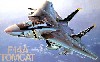 F-14A トムキャット