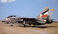 フジミ 1/72 Ｉシリーズ F-14D トムキャット バウンティハンターズ イラク攻撃時/運用終時