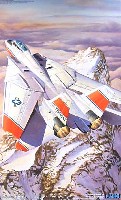 F-14D スーパー トムキャット