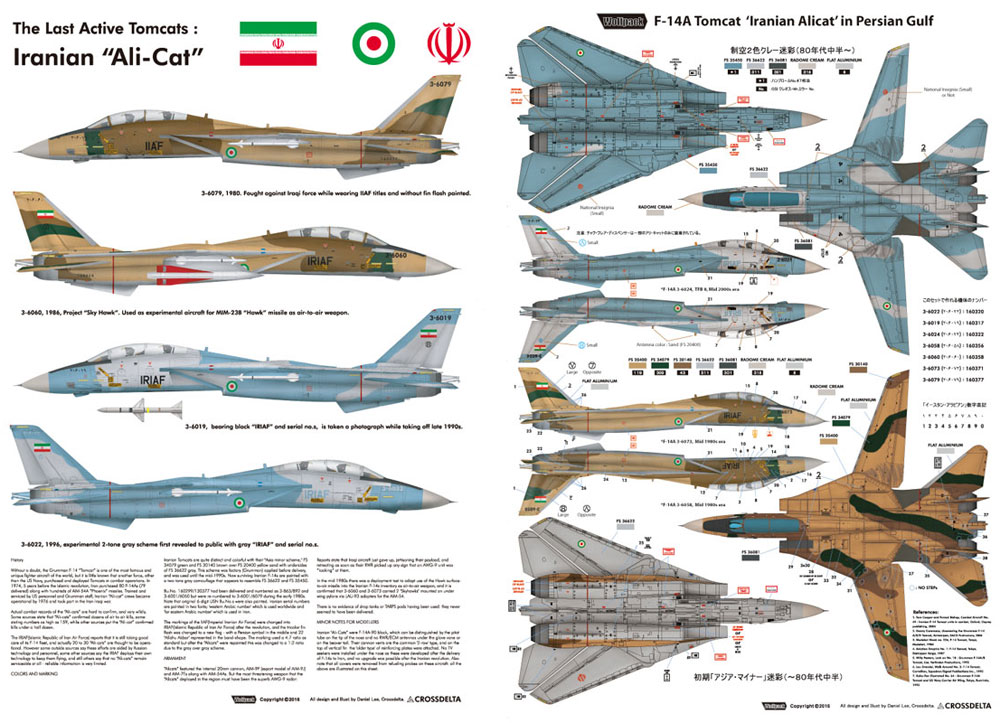 トムキャット最後の稼働機 イラン空軍 アリキャット デカール (ウルフパック 1/72 デカール (WD) No.WD72008) 商品画像_2