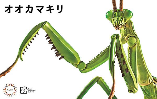 いきもの編 オオカマキリ プラモデル (フジミ 自由研究 No.023) 商品画像