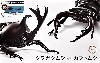 いきもの編 クワガタムシ vs カブトムシ 対決セット