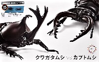 いきもの編 クワガタムシ vs カブトムシ 対決セット