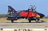 F-4EJ改 スーパーファントム 302SQ F-4 ファイナルイヤー 2019 ブラックファントム