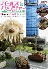 ガールズ＆パンツァー 山田卓司 情景作品集