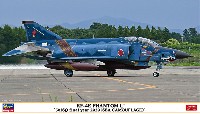 RF-4E ファントム 2 501SQ ファイナルイヤー 2020 洋上迷彩