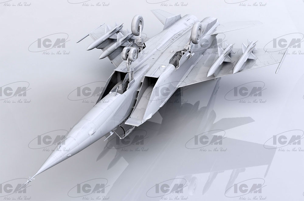 MIG-25BM プラモデル (ICM 1/48 エアクラフト プラモデル No.48905) 商品画像_3