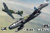 P-80C & IL-10 朝鮮戦争