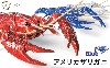 いきもの編 アメリカザリガニ ブルー