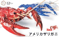 いきもの編 アメリカザリガニ レッド