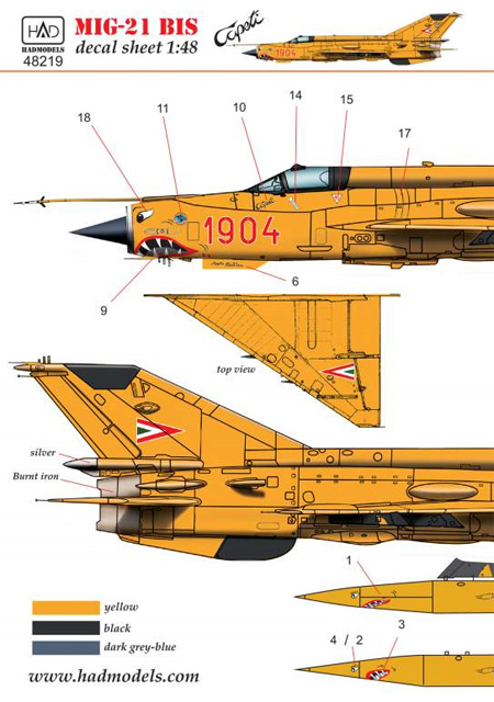 MiG-21bis ツァーぺティ フェアフォード 空軍基地航空ショー RIAT 1993 デカール デカール (HAD MODELS 1/48 デカール No.HAD48219) 商品画像