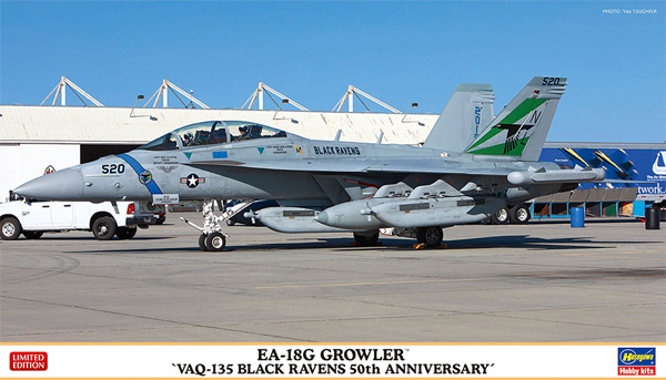 EA-18G グラウラー VAQ-135 ブラック レイブンズ 50周年記念 プラモデル (ハセガワ 1/72 飛行機 限定生産 No.02351) 商品画像
