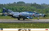 F-4EJ改 スーパーファントム 301SQ ファントムフォーエバー 2020