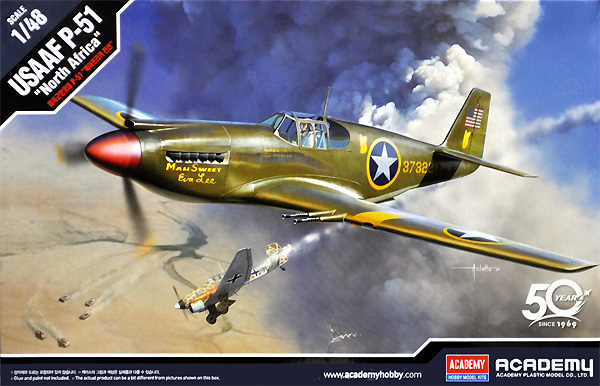 USAF P-51 マスタング 北アフリカ戦線 プラモデル (アカデミー 1/48 Aircrafts No.12338) 商品画像