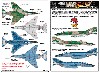 航空自衛隊 RF-4E 第501飛行隊 通常・洋上迷彩 ファントム デカール