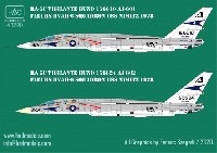 RA-5C ヴィジランティ RVAH-6 USS ニミッツ 1978年 デカール