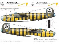 B-24D リベレーター レモン・ドロップ デカール