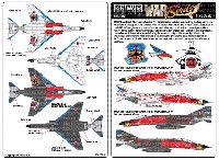 航空自衛隊 F-4EJ改 第302飛行隊 ラストファントム デカール