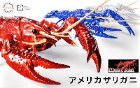 	いきもの編 アメリカザリガニ クリアーレッド