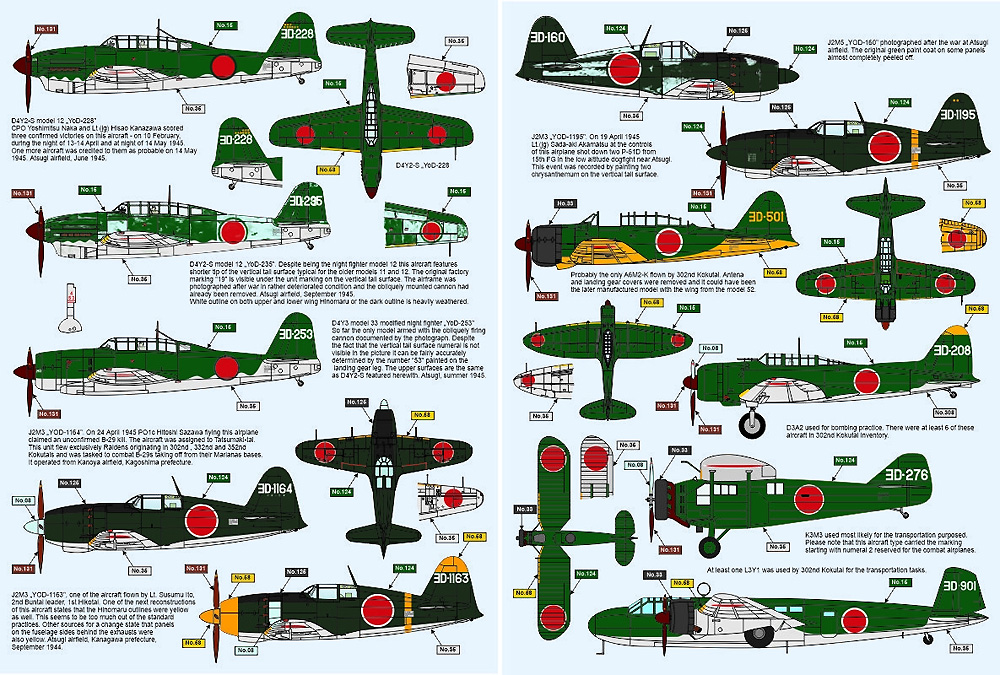 第三〇二海軍航空隊 デカール デカール (ライジングモデル 1/72 RISING DECALS (ライジングデカール) No.RD72094) 商品画像_2