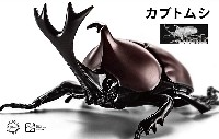 いきもの編 カブトムシ 特別仕様 (クリアー)