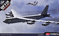 USAF B-52H ストラトフォートレス 第20爆撃飛行隊 バッカニアーズ