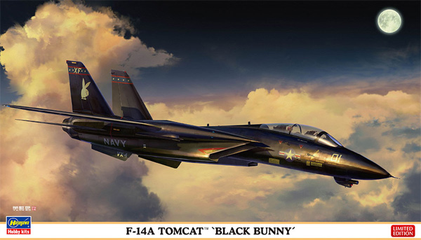 F-14A トムキャット ブラックバニー プラモデル (ハセガワ 1/72 飛行機 限定生産 No.02377) 商品画像