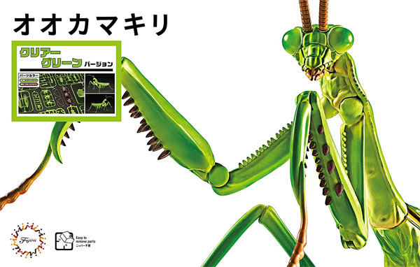 オオカマキリ クリアーグリーン バージョン プラモデル (フジミ 自由研究 No.023EX-002) 商品画像