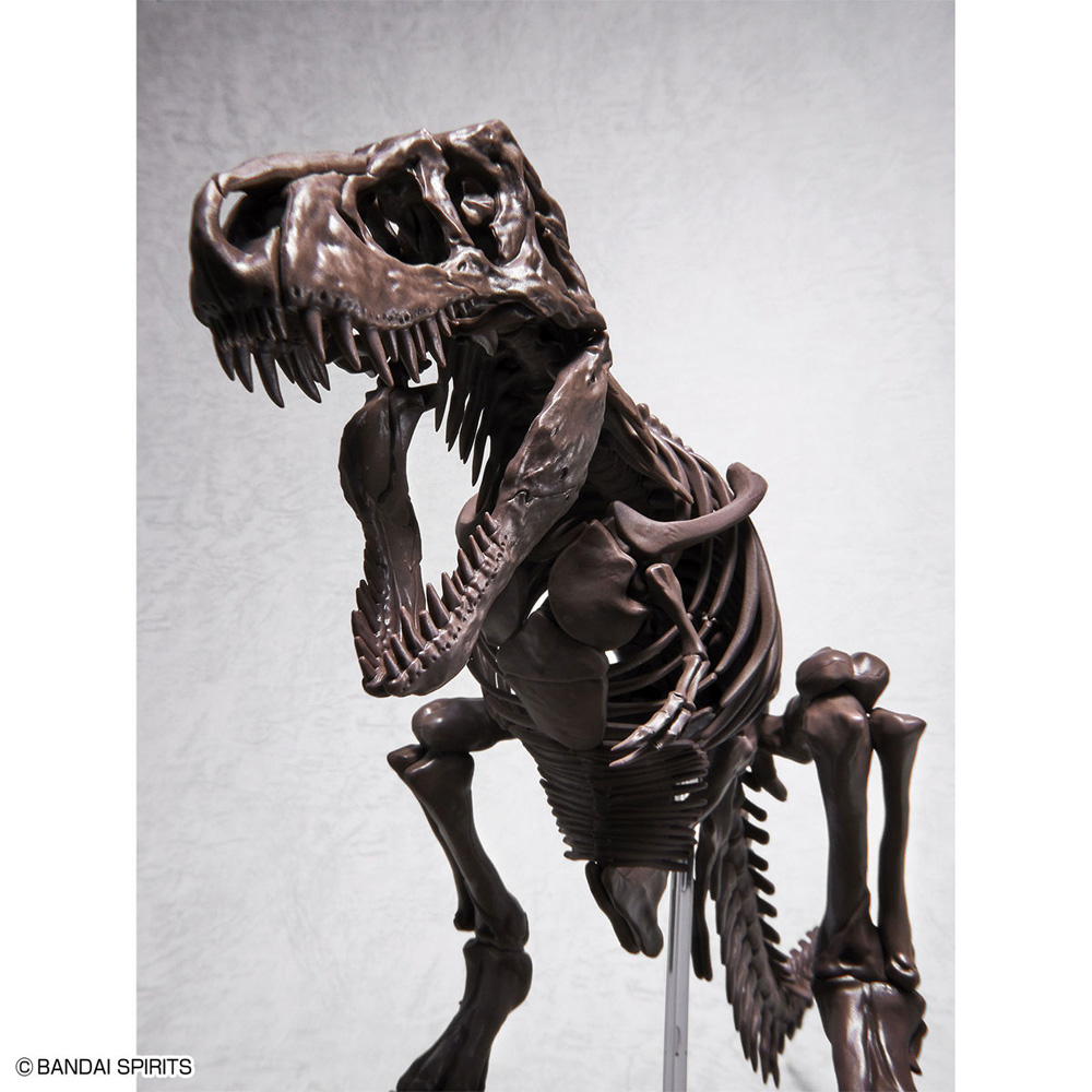 ティラノサウルス プラモデル (バンダイ Imaginary skeleton No.5061800) 商品画像_3