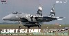 航空自衛隊 F-15J イーグル アグレッサー 飛行教導隊 906号機 (単座型・ダークグレイ/白迷彩)