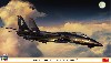 F-14A トムキャット ブラックバニー