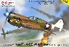 カーチス P-40E ウォーホーク 第49戦闘航空群