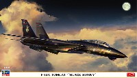 ハセガワ 1/72 飛行機 限定生産 F-14A トムキャット ブラックバニー