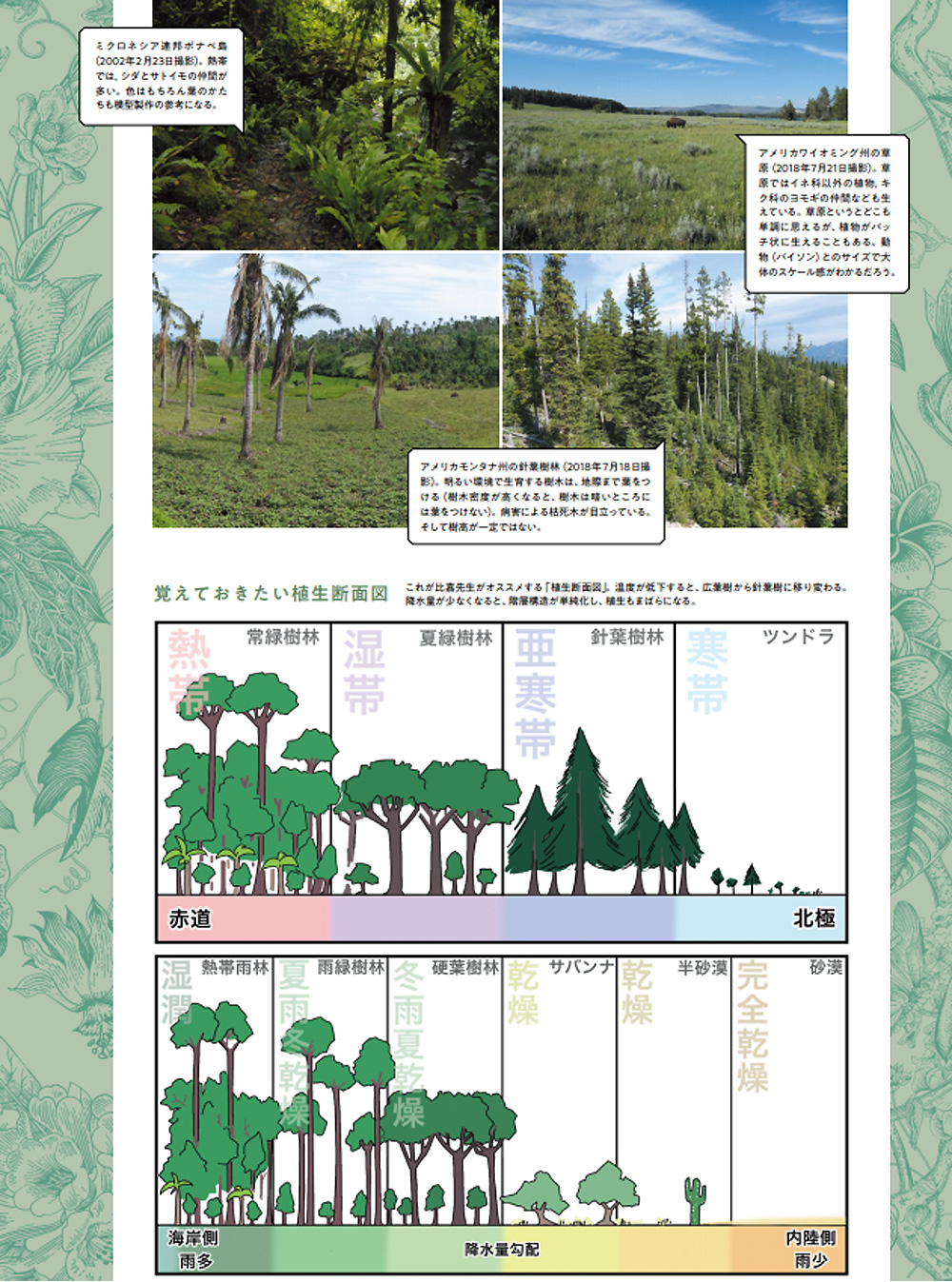 戦車情景植物再現マニュアル 本 (大日本絵画 戦車関連書籍 No.23326-2) 商品画像_2