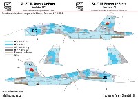 HAD MODELS 1/32 デカール スホーイ Su-27UB ベラルーシ空軍 デカール